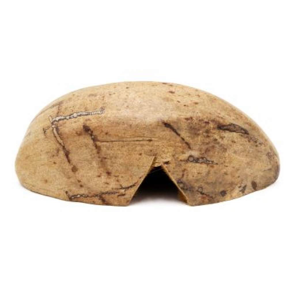 Kokos-Halbschale - Versteck